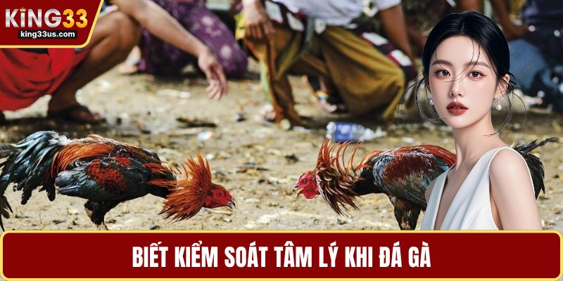 Đá Gà SV368 – Trải Nghiệm Cá Cược Cực Đã Khi Chơi 2026 - sixon.live