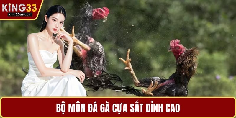 Đá Gà KING33 Và Bí Quyết Chinh Phục Sảnh Chơi Đỉnh Cao - sixon.live