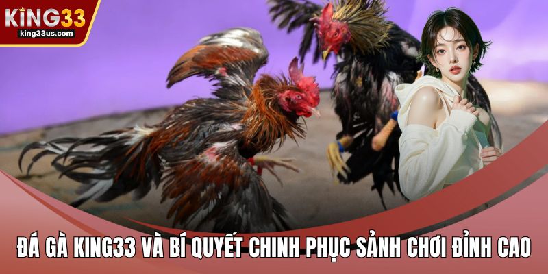 Đá Gà KING33 Và Bí Quyết Chinh Phục Sảnh Chơi Đỉnh Cao - sixon.live
