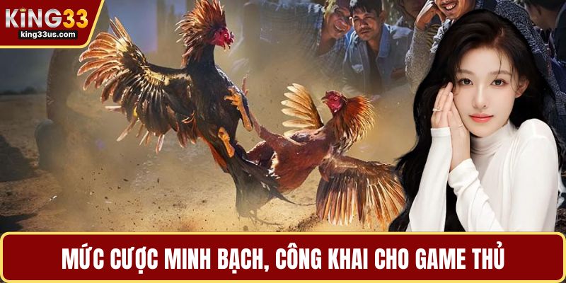 Đá Gà KING33 Và Bí Quyết Chinh Phục Sảnh Chơi Đỉnh Cao - sixon.live
