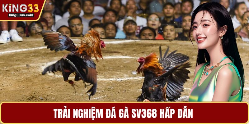 Đá Gà SV368 – Trải Nghiệm Cá Cược Cực Đã Khi Chơi 2026 - sixon.live