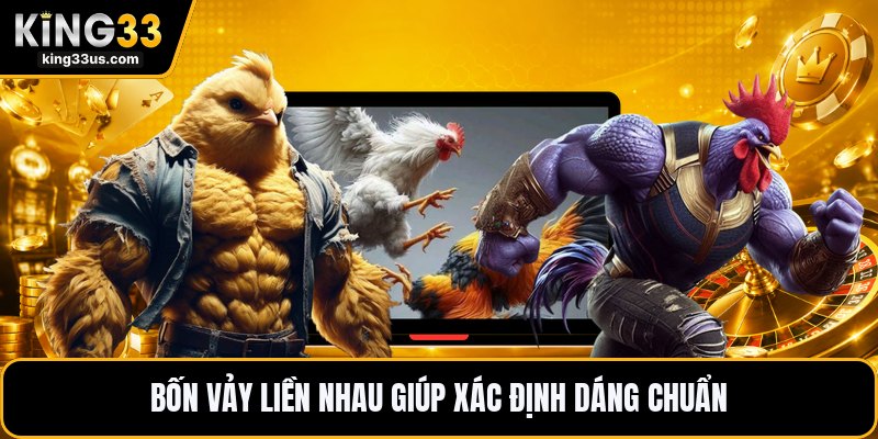 Vảy Gà Tứ Quý Phủ Địa - Dấu Hiệu Nhận Biết Chính Xác - sixon.live