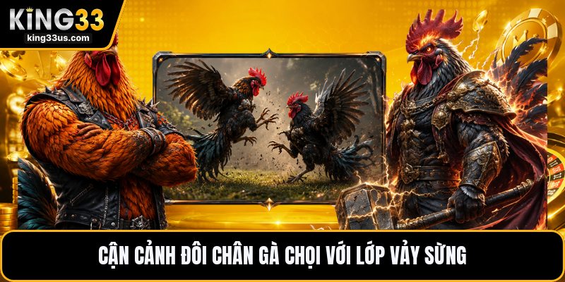 Vảy Gà Khai Vương - Dấu Hiệu Nhận Biết Chính Xác Nhất - sixon.live