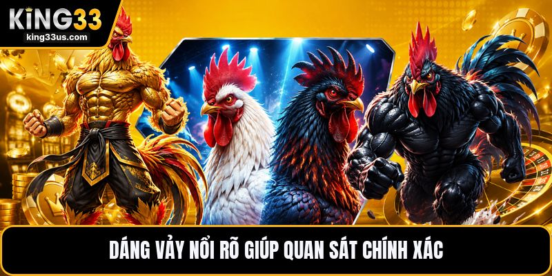 Vảy Gà Khai Vương - Dấu Hiệu Nhận Biết Chính Xác Nhất - sixon.live