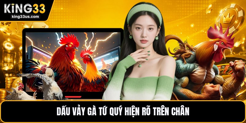 Vảy Gà Tứ Quý - Cách Nhận Biết Dấu Chân Chiến Kê Hay - sixon.live