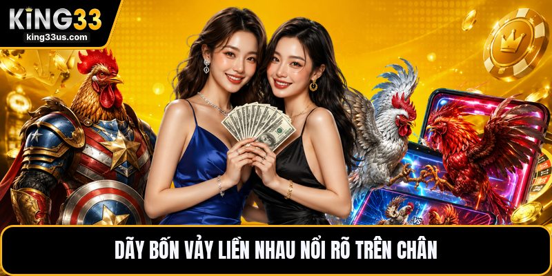 Vảy Gà Tứ Quý - Cách Nhận Biết Dấu Chân Chiến Kê Hay - sixon.live