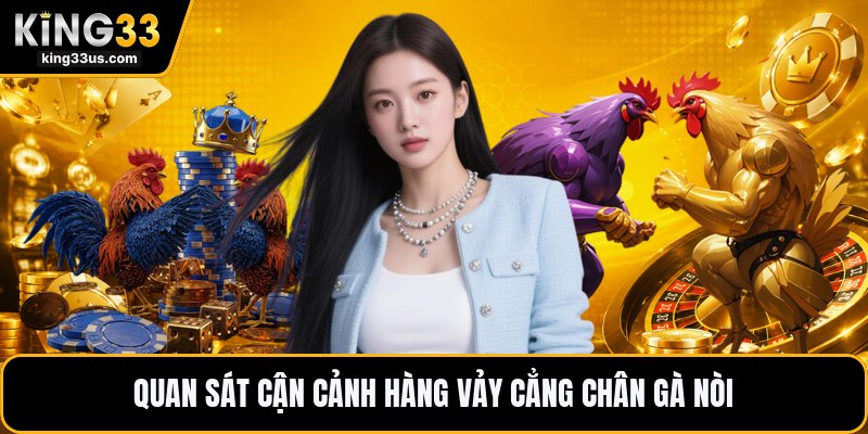 Vảy Gà Tứ Quý Phủ Địa - Dấu Hiệu Nhận Biết Chính Xác - sixon.live