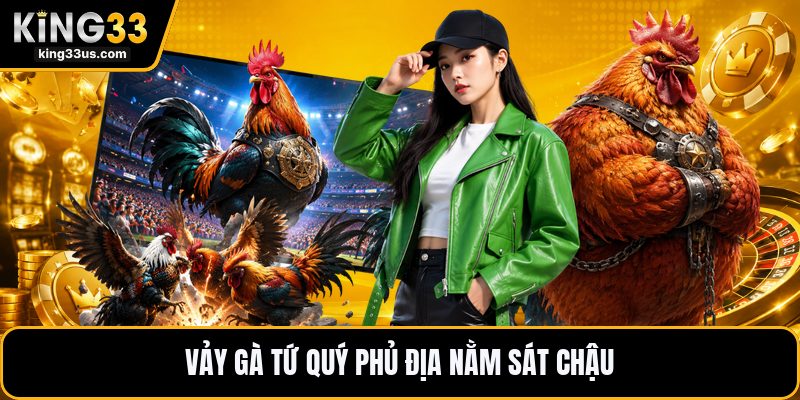 Vảy Gà Tứ Quý Phủ Địa - Dấu Hiệu Nhận Biết Chính Xác - sixon.live